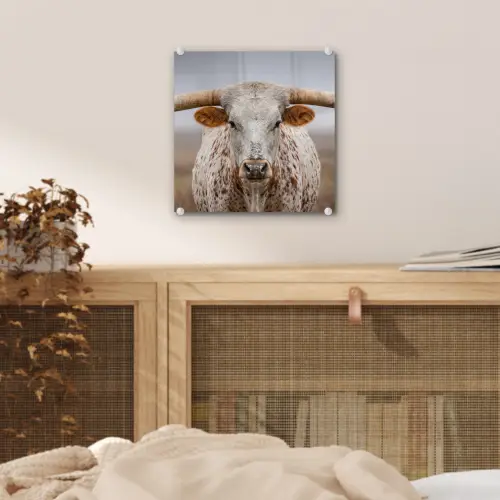 Longhorn - Grasveld - Dier plexiglas 5mm klein -sfeer4