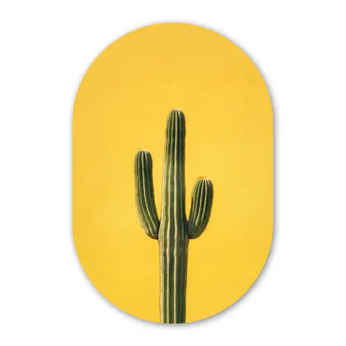 Cactus - Groen - Minimalistisch Wandcirkel Ovaal Forex klein -3d