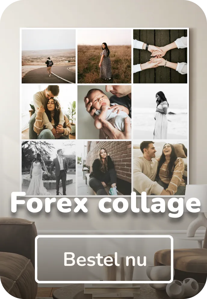 Collage op forex