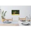 Hert - Gewei - Gras - Natuur - Dieren - Groen Muursticker klein -eettafel