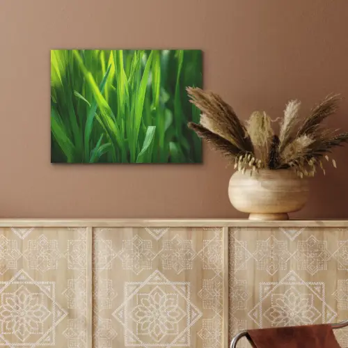 Grassprieten - Lichtinval - Groen PET vilt klein -sfeer4