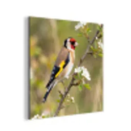Putter - Bloesem - Lente - Natuur - Kleurrijk aluminium wit klein -3d