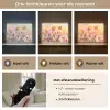 Vlinders - Oranje - Bloemen Light Box met batterij (Wandlamp) middel -USP_lichtkleurNL