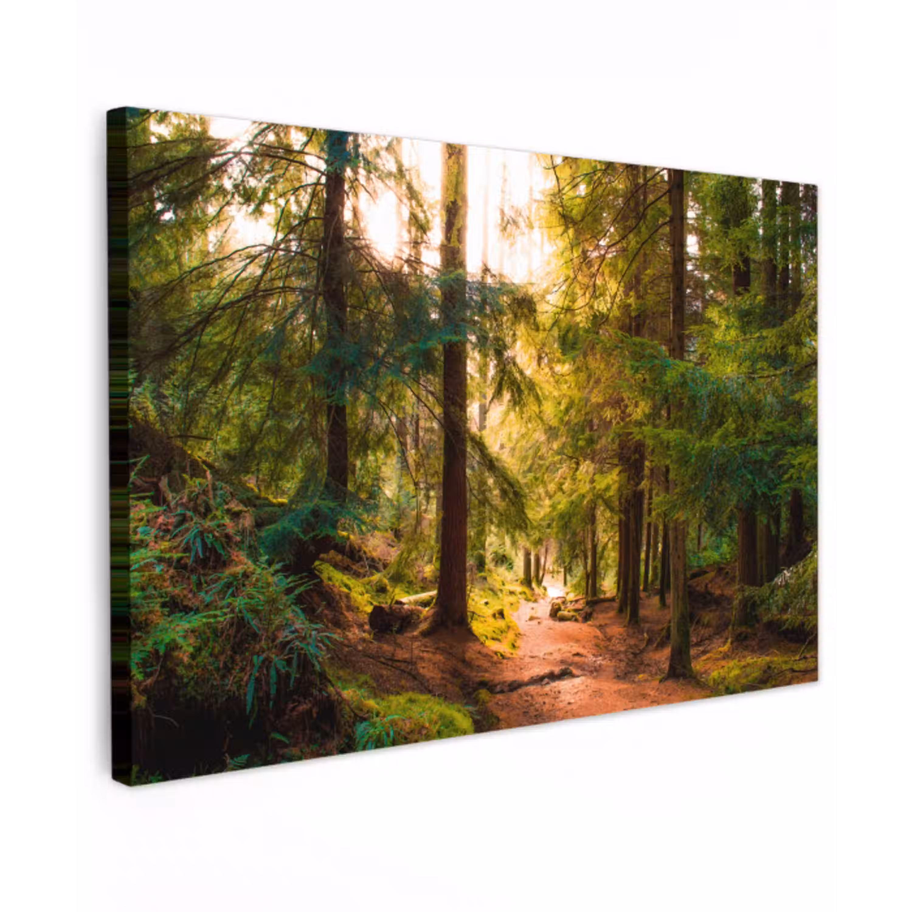 Bos - Pad - Bomen - Groen - Zon - Natuur Tuinposter op houten frame 2 cm dik klein -3d