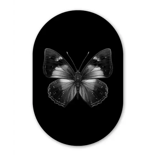 Vlinder - Grijs - Mysterieus Wandcirkel Ovaal Forex klein -3d