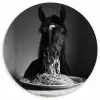 Paard - Bord - Pasta - Tafelkleed - Zwart Wit - Dieren KitchenYeah - Keuken - Wandcirkel Forex klein -3d