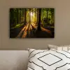 Zon - Bomen - Bos - Landschap - Natuur canvas 2cm klein -sfeer3