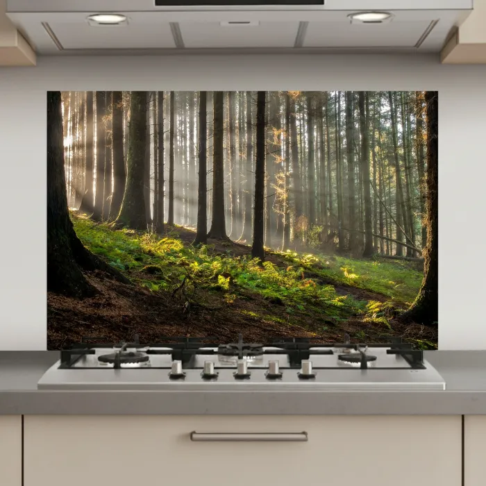 Zon - Takken - Bomen - Bos - Natuur keuken achterwand spatscherm klein -3d_website