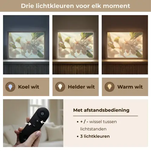 Bloesems - Wit - Zonnestralen -  Bloemblaadjes Light Box met batterij (Wandlamp) middel -USP_lichtkleurNL