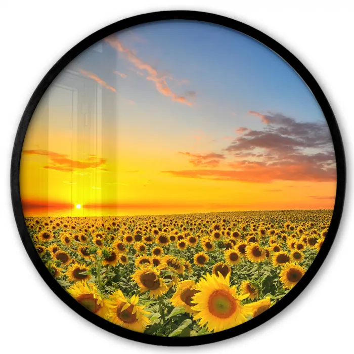 Bloemen - Zonnebloem - Zonsondergang - Nacht - Oranje Fotolijst rond zonder passe partout klein -3d
