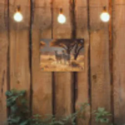 Zebra's - Savannelandschap - Gras tuinposter los doek klein -sfeer1