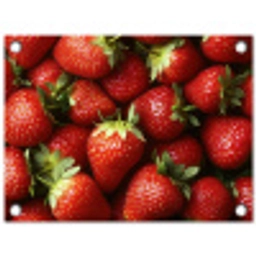 Aardbei - Fruit - Rood tuinposter los doek klein -3d