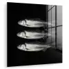 Haring - Vissen - Zwart plexiglas 5mm klein -zzzproduct_nieuw