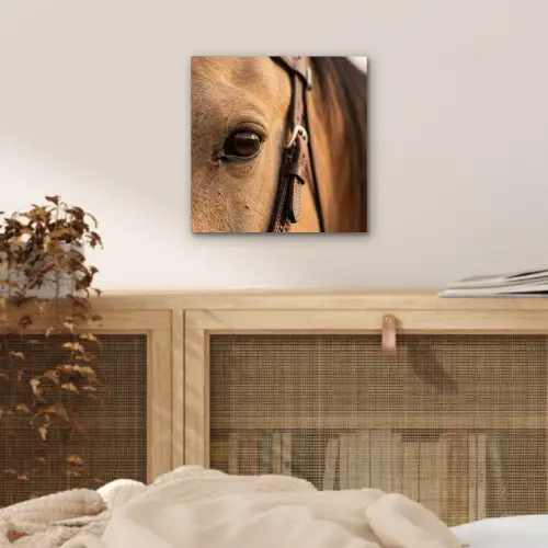 Paard - Oog - Bruin aluminium wit klein -sfeer3