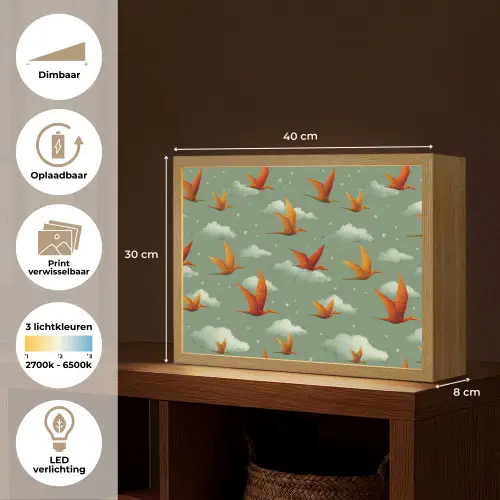 Dinosaurussen - Wolken - Sterren - Oranje Light Box met batterij (Wandlamp kind) middel -USP_websiteoverzichtNL