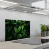 Bladeren - Regendruppels - Licht - Groen keuken achterwand spatscherm klein -3d_schuin