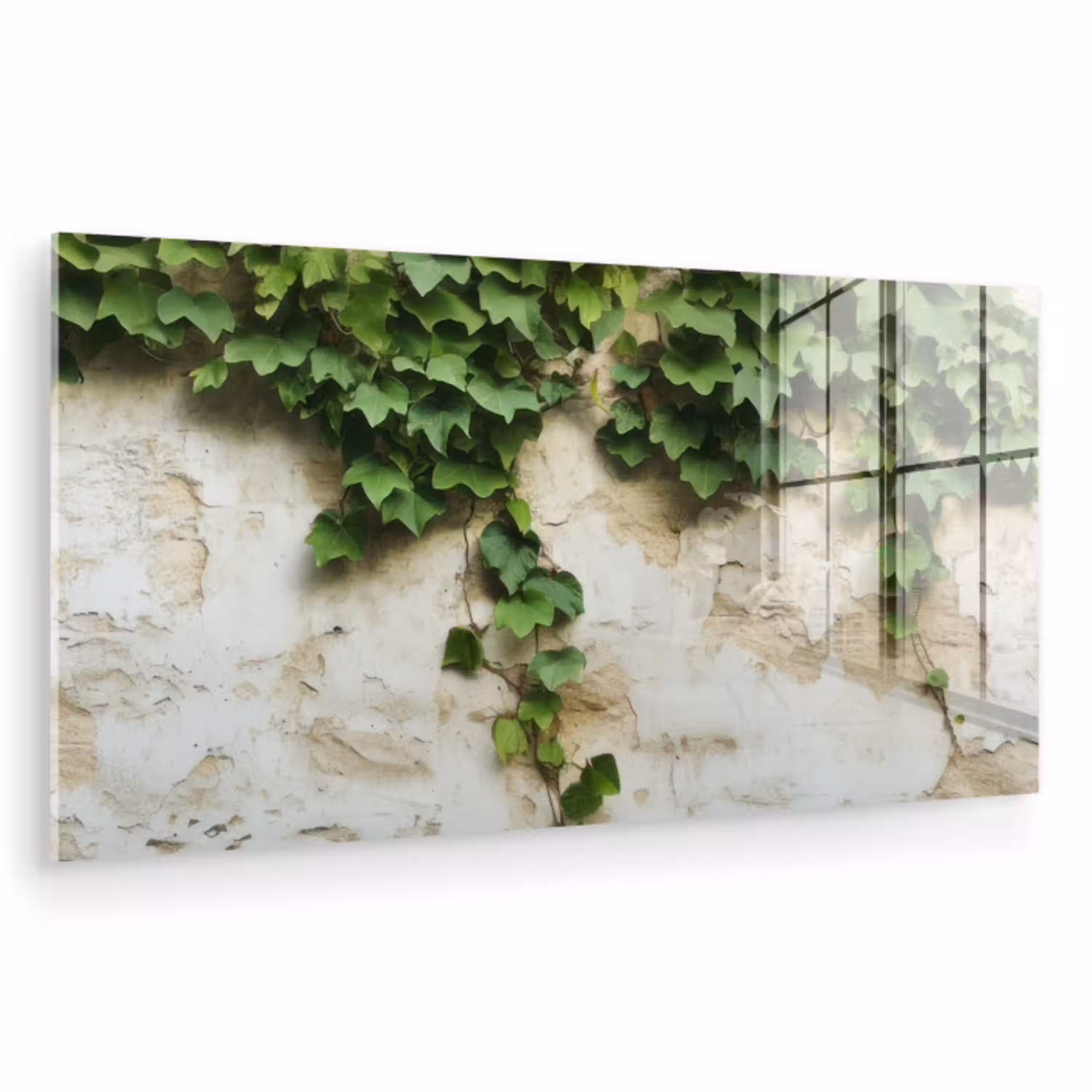 Klimop - Muur - Groen plexiglas 5mm klein -zzzproduct_nieuw
