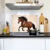 Paard - Galop - Energie Inductie beschemer met haakjes klein -sfeer2