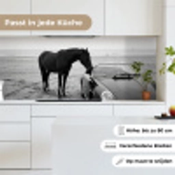 Paard - Auto - Zwart - Wit keuken achterwand 2 middel -sfeer4_DE