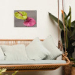 Planten - Anthurium - Groen - Roze tuinposter los doek klein -sfeer7