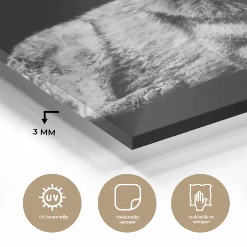 Wilde dieren - Wolf - Zwart - Wit plexiglas 5mm klein -sfeer2