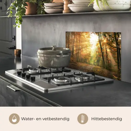 Bos - Herfst - Zon - Landschap - Natuur - Bomen - Bladeren keuken achterwand spatscherm klein -usp_NL