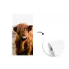 Schotse hooglander - Landschap - Koe - Bruin - Dieren - Natuur fotobehang vinyl groot -3d