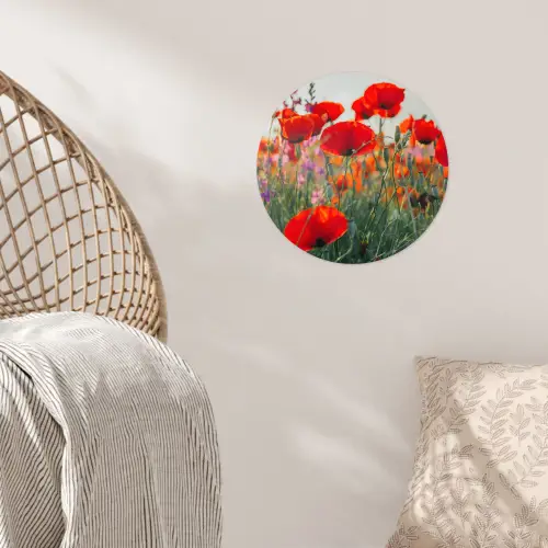 Klaproos - Bloemen - Rood - Paars - Weide Wandcirkel behangsticker klein -sfeer4