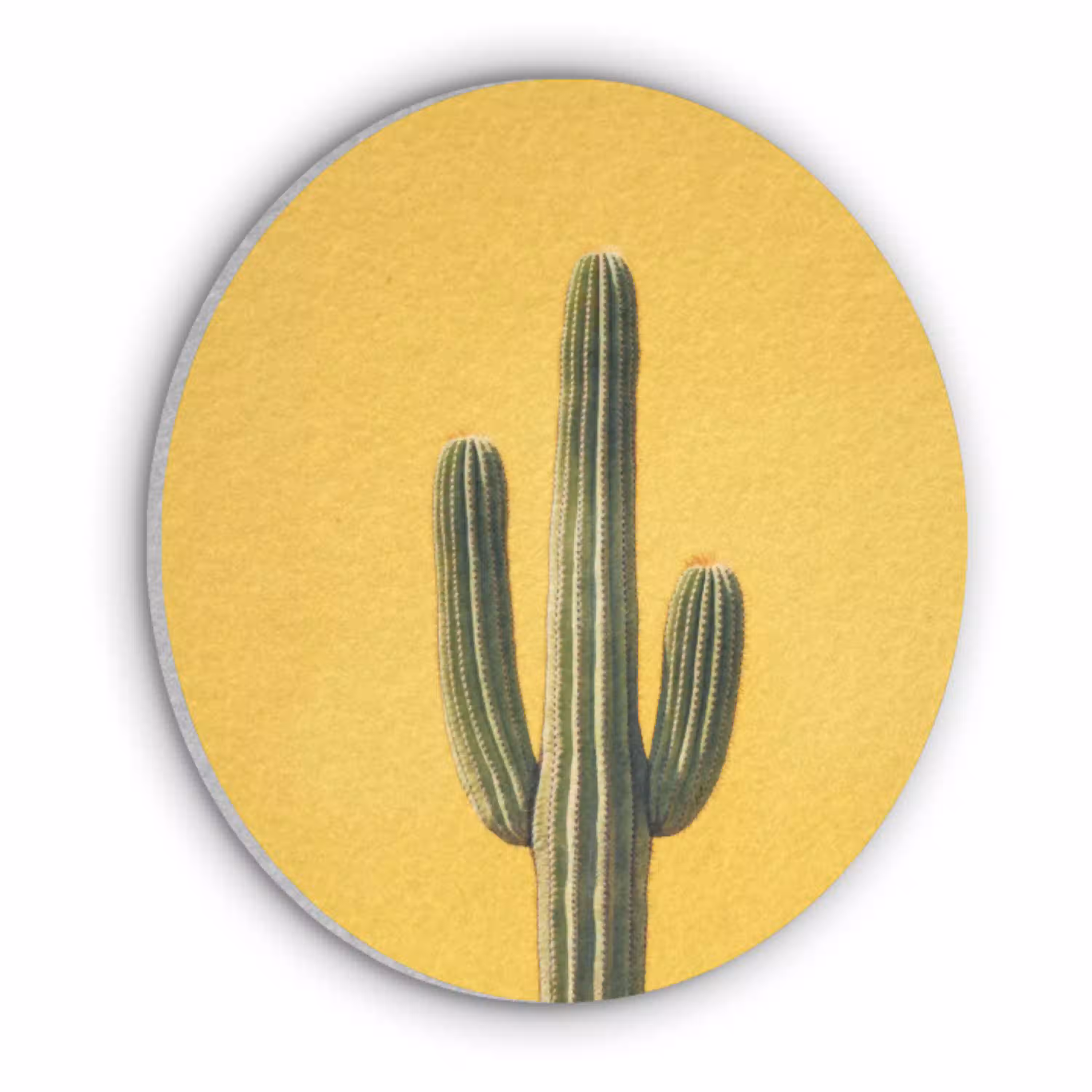 Cactus - Groen - Minimalistisch Akoestische PET Vilt - Rond klein -3d