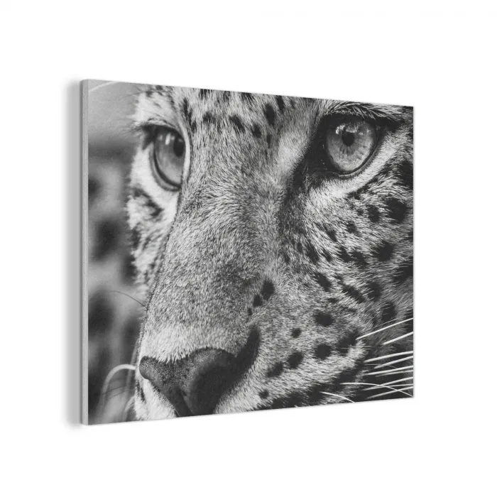 Luipaard - Zwart - Wit - Oog PET vilt klein -3d