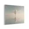 Luchtballon - Wolken - Water - Blauw PET vilt klein -3d