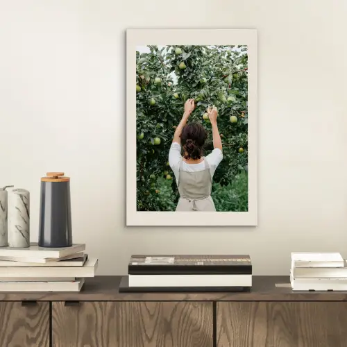 Boom - Appels - Plukken - Natuur aluminium wit klein -sfeer1