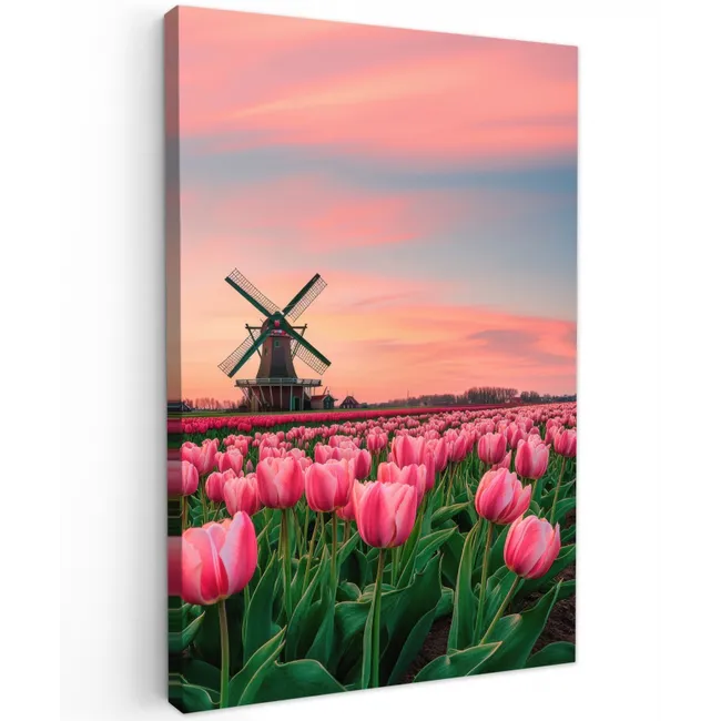 Tulpen - Molen - Nederland Tuinposter op houten frame 2 cm dik klein -3d