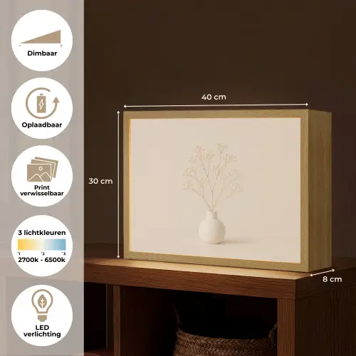 Vaas - Takken - Bloemetjes - Wit Light Box met batterij (Wandlamp) middel -USP_websiteoverzichtNL