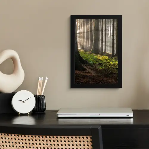 Zon - Takken - Bomen - Bos - Natuur fotolijst zwart zonder passe partout klein -sfeer1