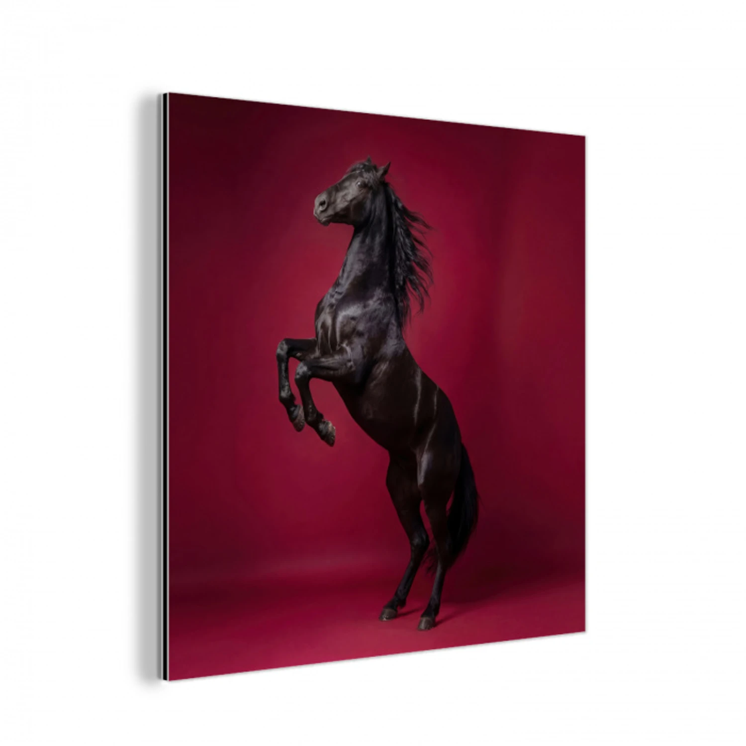 Hengst - Steigert - Rood aluminium wit klein -3d