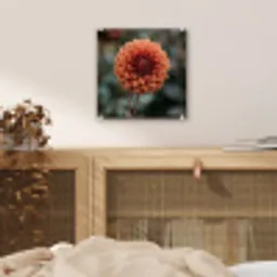 Dahlia - Bloem - Natuur - Sfeervol plexiglas 5mm klein -sfeer4