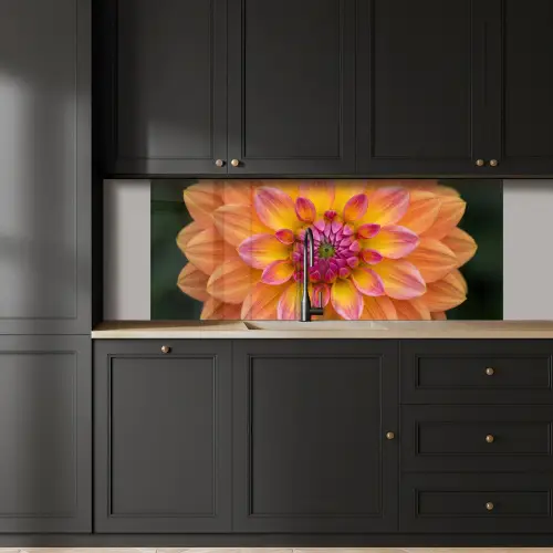 Dahlia - Bloem - Oranje keuken achterwand 2 middel -sfeer1