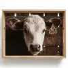 Kalf - Oormerk - Houten stal Dienblad Rechthoek middel -z3d_shopping