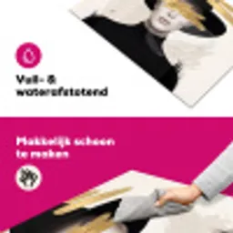 Vrouw - Portret - Modern - Goud - Kunst Inductie beschermer vinyl 3mm klein -wsfeer6_website