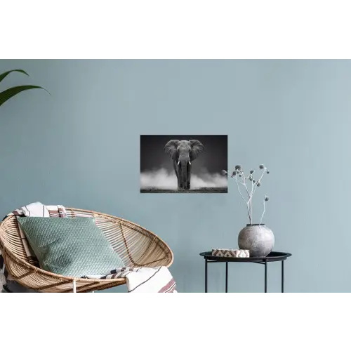 Olifant - Zwart - Wit - Rook Muursticker klein -plant