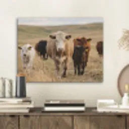 Runderen - Kudde - Landschap - Weide - Rustig PET vilt klein -sfeer1