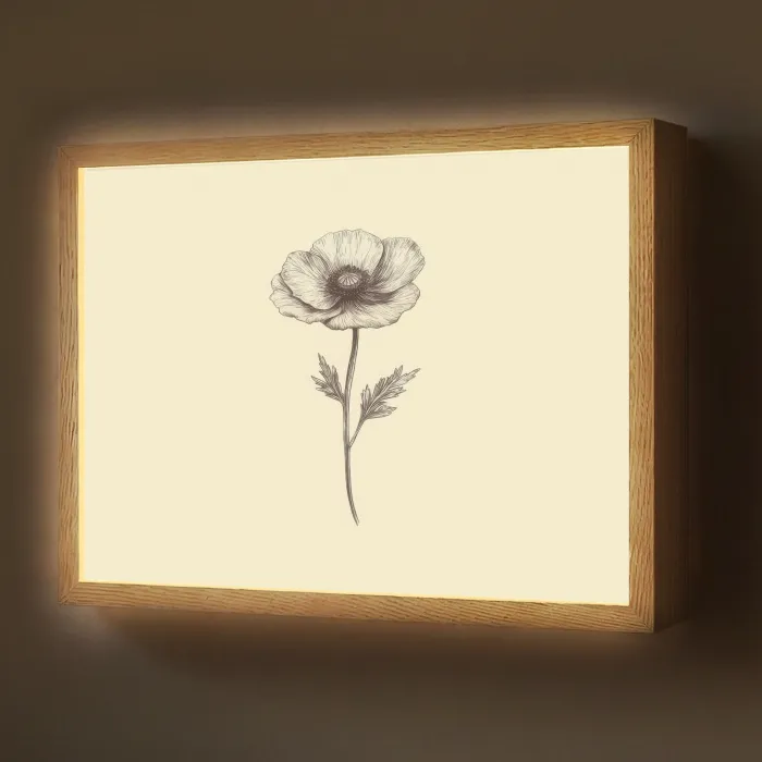 Klaproos - Illustratie - Zwart Light Box met batterij (Wandlamp) middel -z3d_website