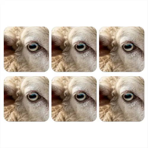 Schaap - Oog - Wit onderzetter kurk middel -3d