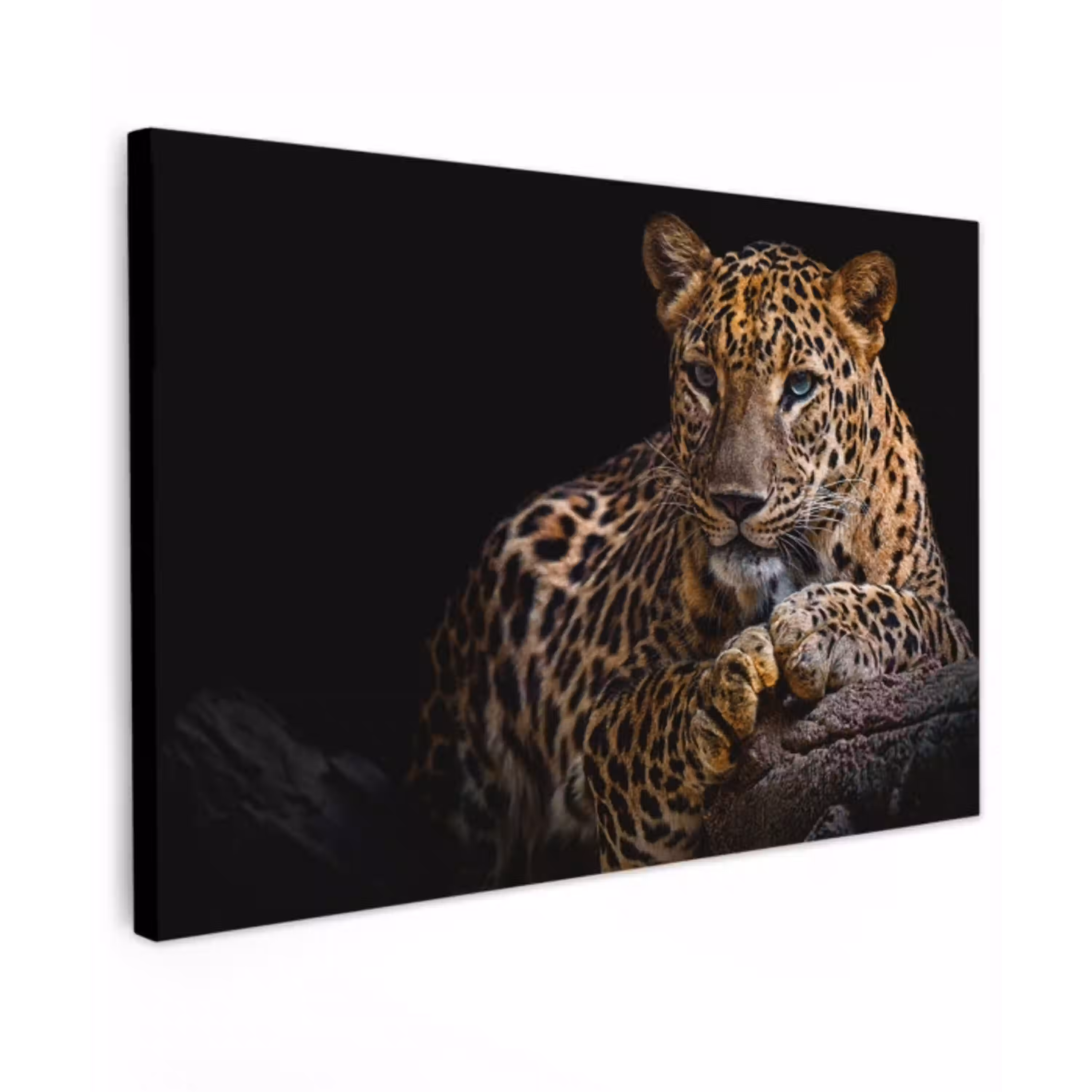 Wilde dieren - Panter - Portret - Zwart - Dieren Tuinposter op houten frame 2 cm dik klein -3d