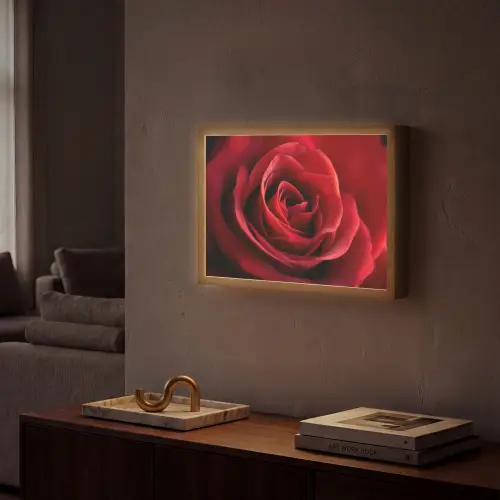 Rood - Roos - Romantisch Light Box met batterij (Wandlamp) middel -sfeer1
