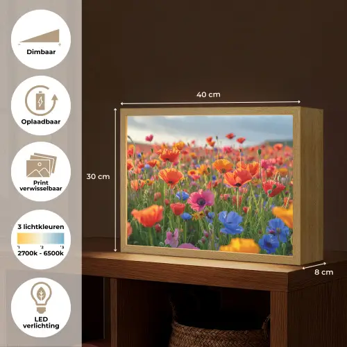 Bloemen - Klaprozen - Kleurrijk - Natuur Light Box met batterij (Wandlamp) middel -USP_websiteoverzichtNL