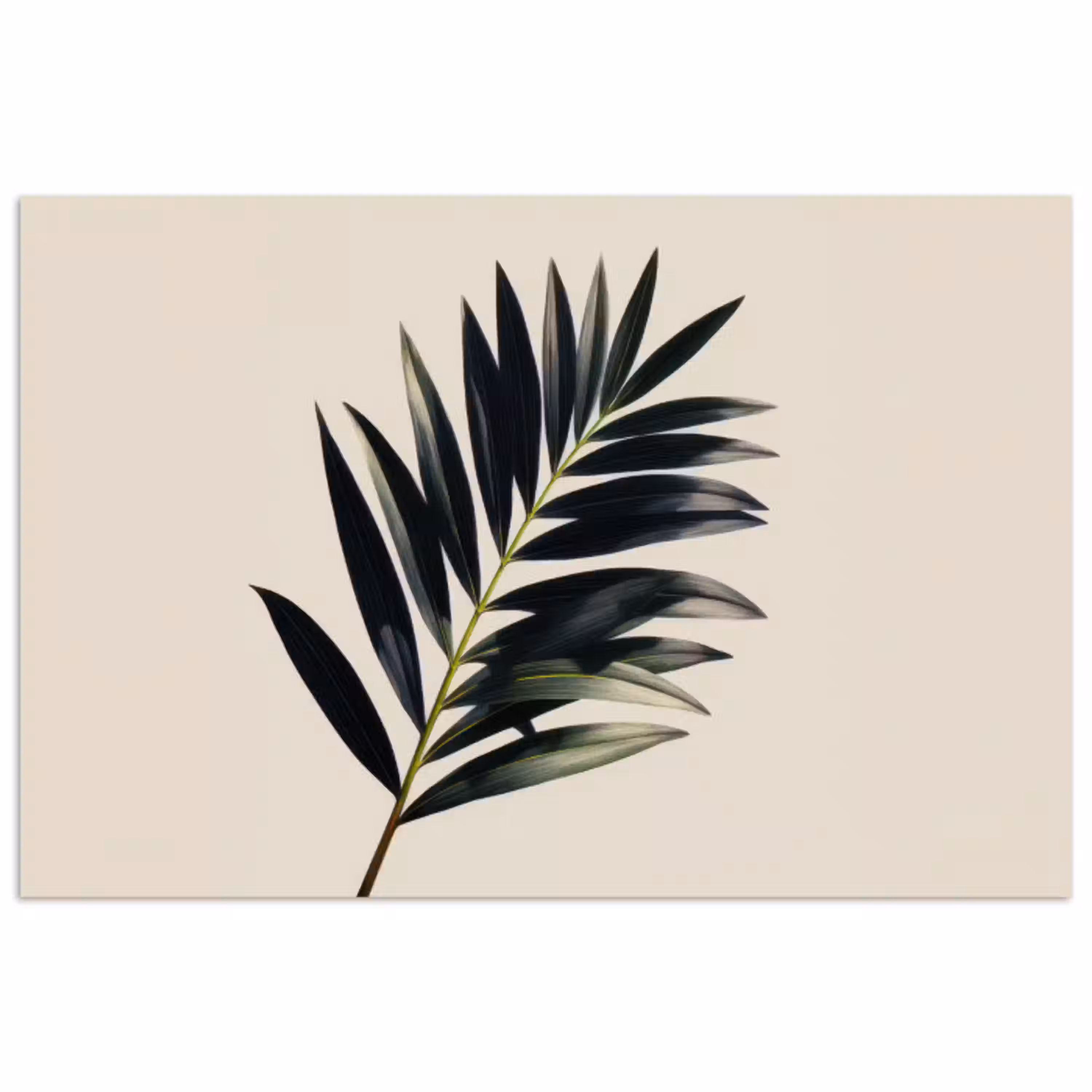 Palmblad - Subtiel - Groen - beige poster papier klein -3d