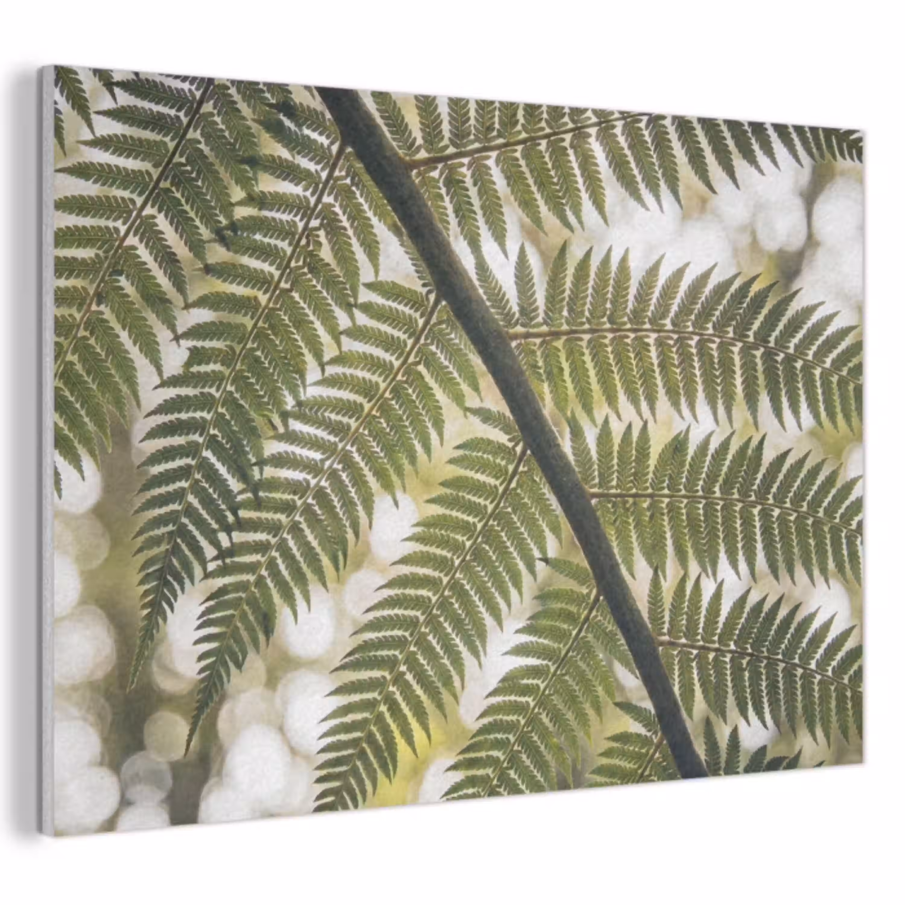 Plant - Blad - Natuur - Groen - Detail PET vilt klein -3d