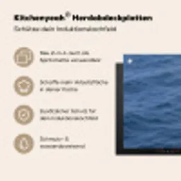 Zeemeeuw - Oceaan - Blauw Inductie beschemer met haakjes klein -ky-usp-de